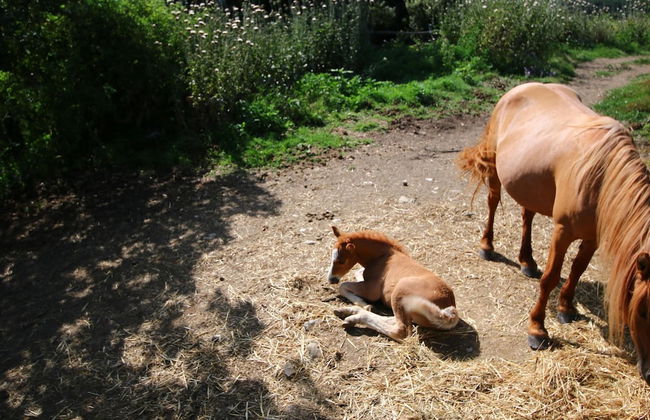 Belvilla by OYO Club House - Foto 36