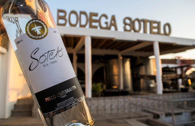 Glamping Toneles y ViƱedos - Photo 15