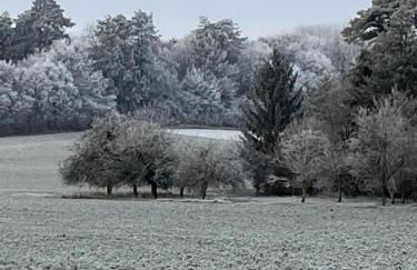 Le coteau de l'orme - Foto 43
