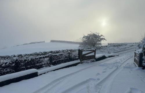 Dukes Well - Photo 37