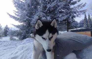 TATRA HOMES domek z jacuzzi - Foto 4