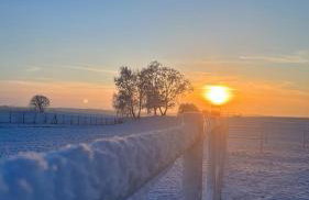 Vigor Horses - Foto 62