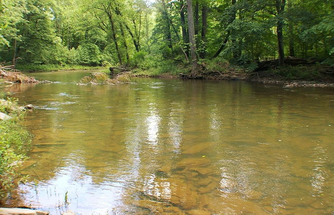 Cabin at Sleepy Creek - Charming Cabin - Foto 11