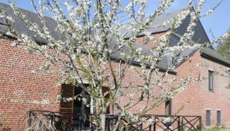 Gîtes du Grand Bois - Foto 2