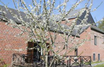 Gîtes du Grand Bois - Foto 2