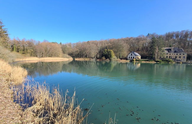 Lovely Holiday Home in Orval With Garden - Photo 38