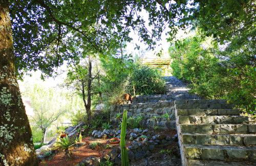 Cantinho do Lucas - Foto 14