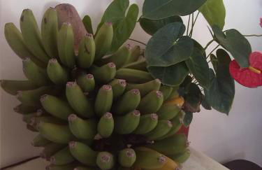 Conjunto Rural Las Rosas - Photo 48