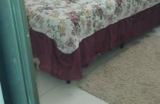 Lucy teles - Foto 47