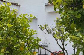 Finca Dehesa Hacienda Guadalupe - Foto 10