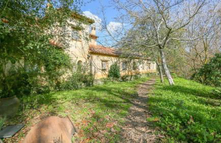 Casas Rurales Camino del Castaño - Foto 9