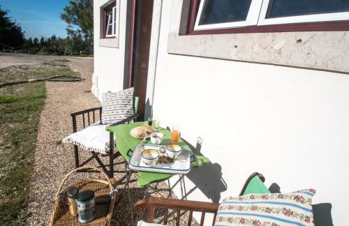 Casa na Floresta - Foto 25