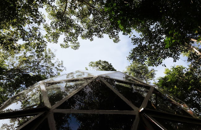 Glass 20.87 - Photo 8