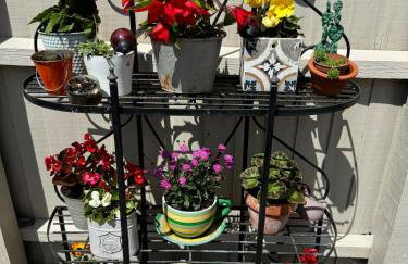 Cosy Flint Cottage - Photo 33