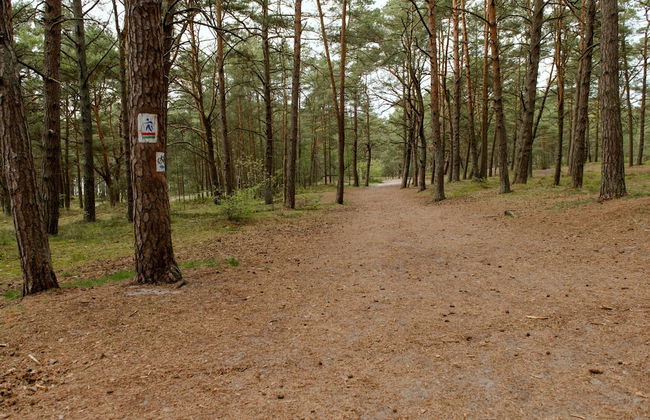 Apartment With Summer Pool, Pogorzelica - Photo 26