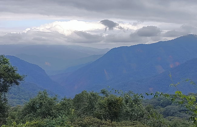 Entre Mangos y Tucanes - Foto 15