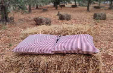 Porta Sugli Ulivi - Foto 27