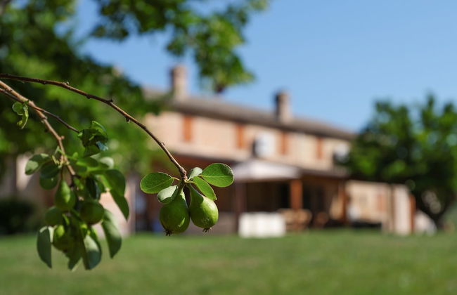 Casale Talevi - Foto 26