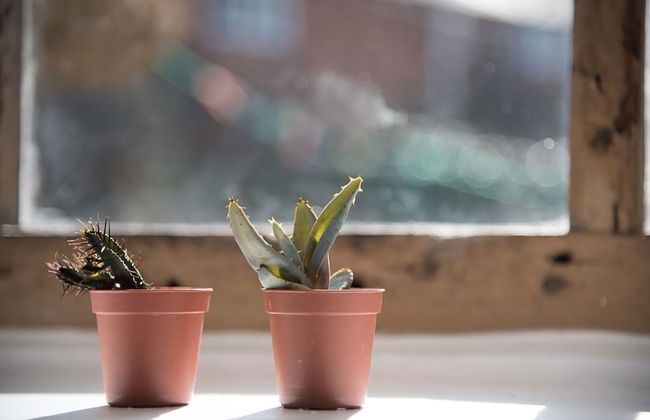 The Coach House, Reydon - Foto 39