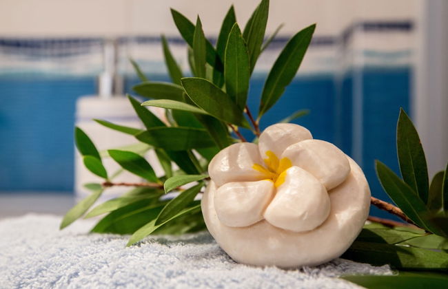 Calliope Corfu Apartments 1 - Foto 20