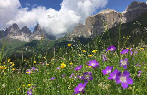 Alaska House - Yukon Room - Foto 54