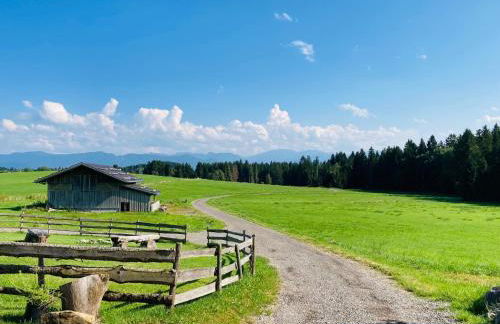 Langegger Alm - Almhütte - Foto 14
