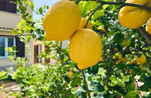 L'Angolo del Saraceno - Foto 68