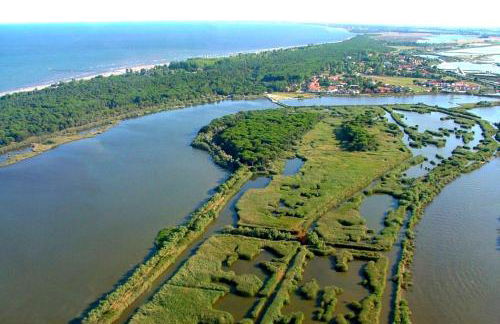 Cozy Flat in a Bright Residence-beahost - Photo 44