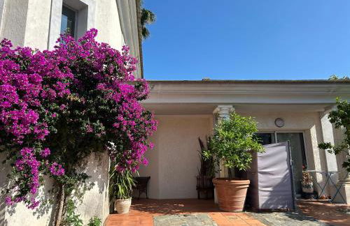 La palmeraie Evanlucas - Foto 1