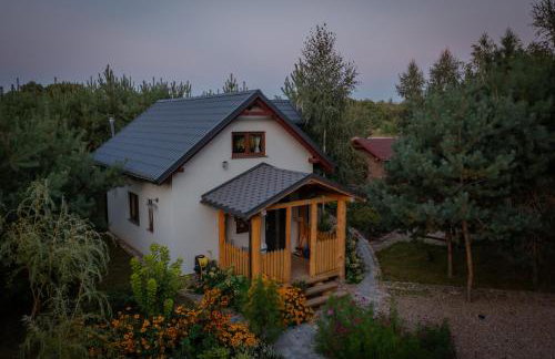 Niezapominajka - Foto 5