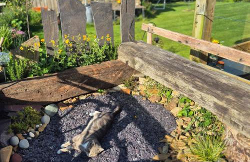 Little Swelle Cabin with awesome Sea views - Foto 6