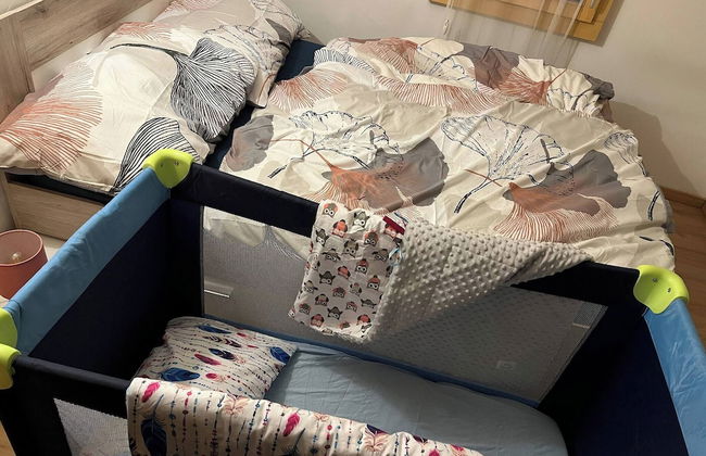 Historic Apartment in the old Village of Naters - Photo 6