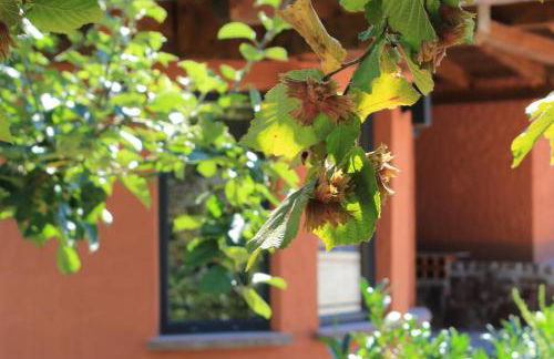 Ferienwohnung Altschloss - Foto 32