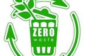 Plumeria Flowery - Foto 50