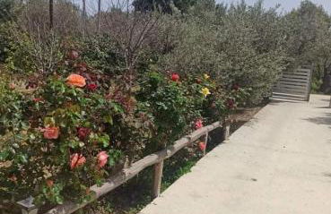 Kostas Volissos-residence - Foto 22