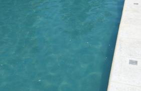 casa LuMar - Photo 28