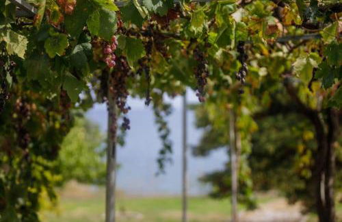 Alethea's Sea View Apartment - Foto 21