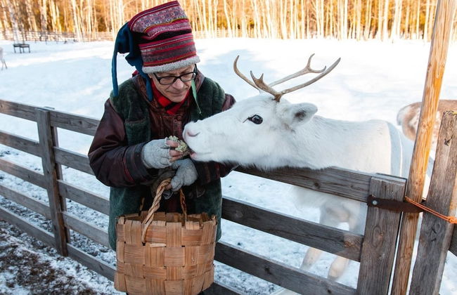 Arctic Resort Delight - Foto 17