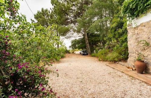 Quinta Da Relva - A traditional farmhouse in a stunning location - Foto 61