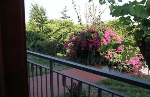 aranceto dell'Etna - Foto 8