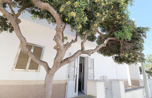 Casa vacanze Emanuela By Apulia home - Foto 16
