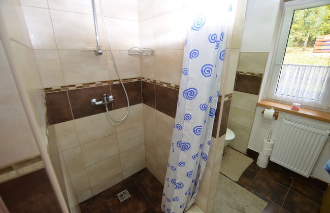 House in Bohemian Near Ski Slope - Foto 10