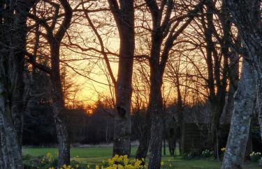 Ferienwohnung Sort Sol Grellsbülldeich 7 - Foto 55