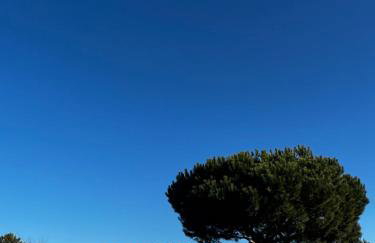 La cabane de Carol au coeur du bassin d'Arcachon - Foto 14