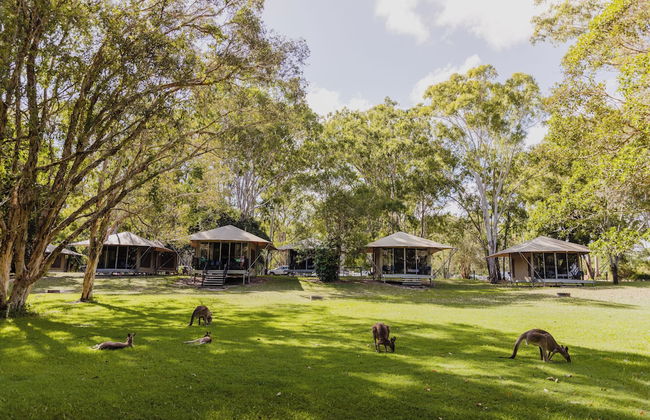 Habitat Noosa - Foto 14