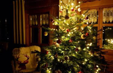 Dom na Kamieńcu - Photo 33