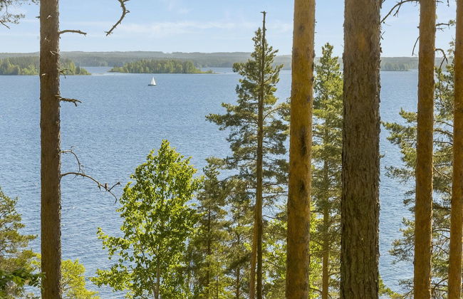 Aleksinrinne - Foto 2