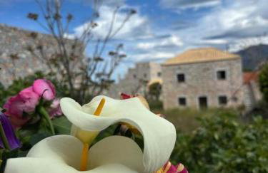 Αιθεροβάμων - Etherovamon - Foto 16
