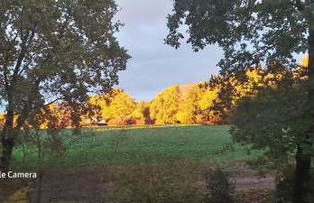 Gabis Ferienwohnung Bendingbostel - Foto 10