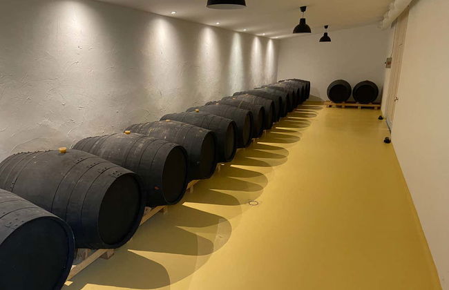 Visite du domaine viticole Rodríguez y Sanzo à Rueda - Photo 5